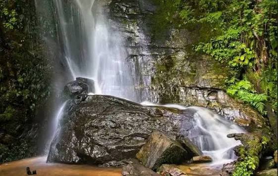 Erin Ijesa and Surrounding Nature Areas