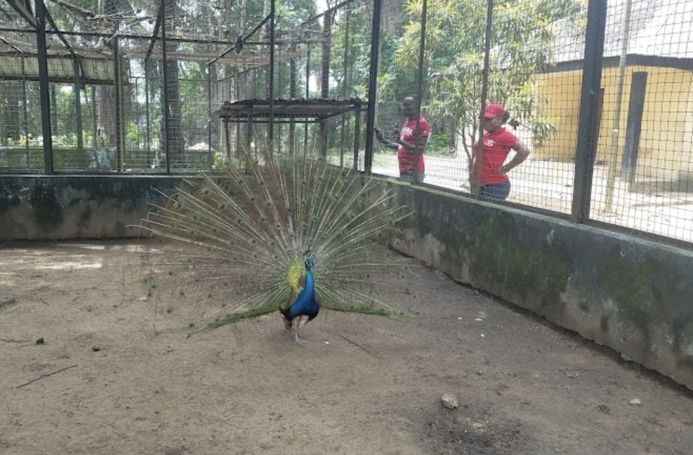 Port Harcourt Zoo
