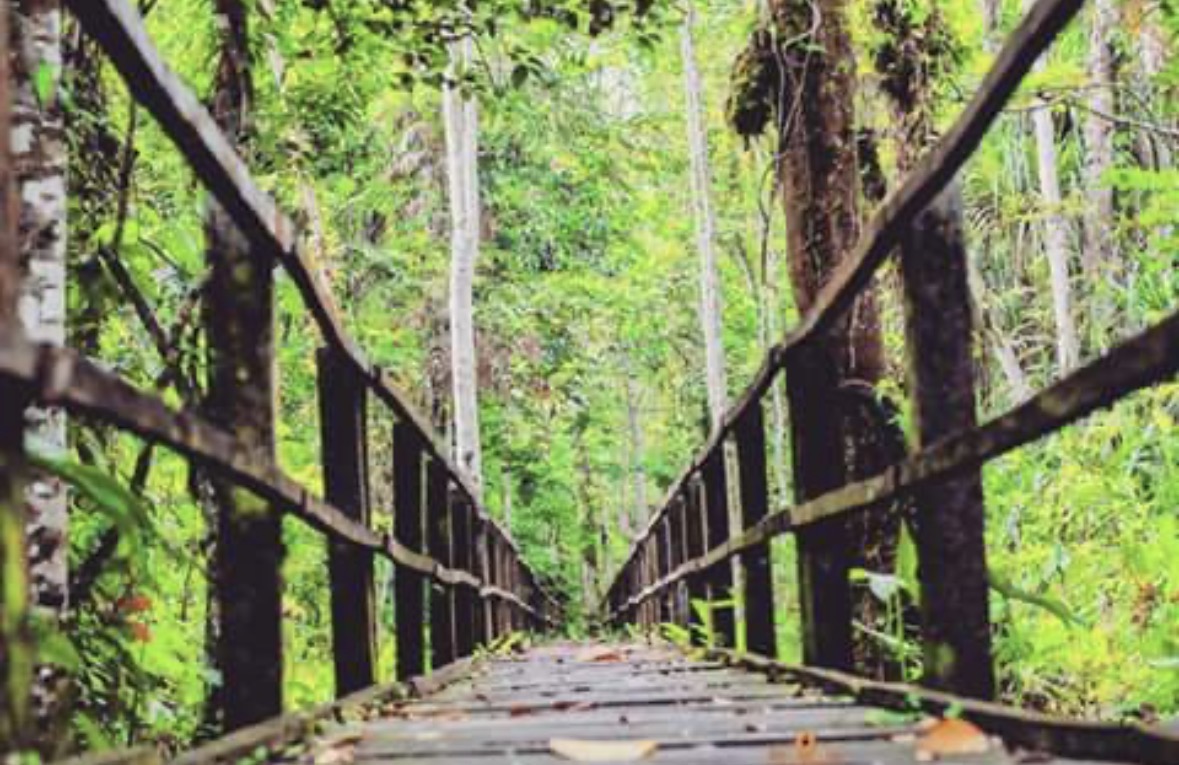 15 Amazing Places to Visit in Port Harcourt (Finima Nature Park)