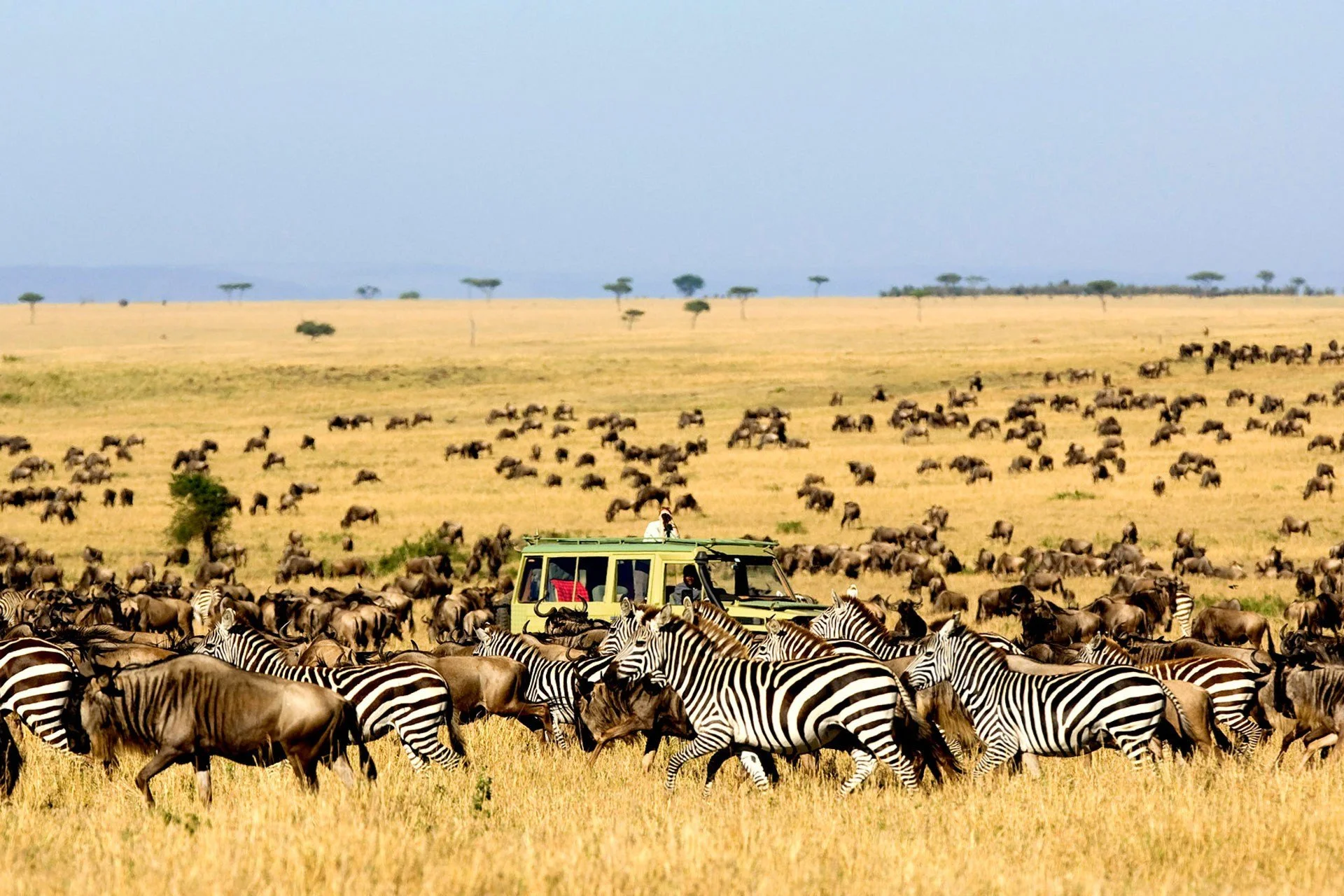 Kidepo Valley National Park, Uganda