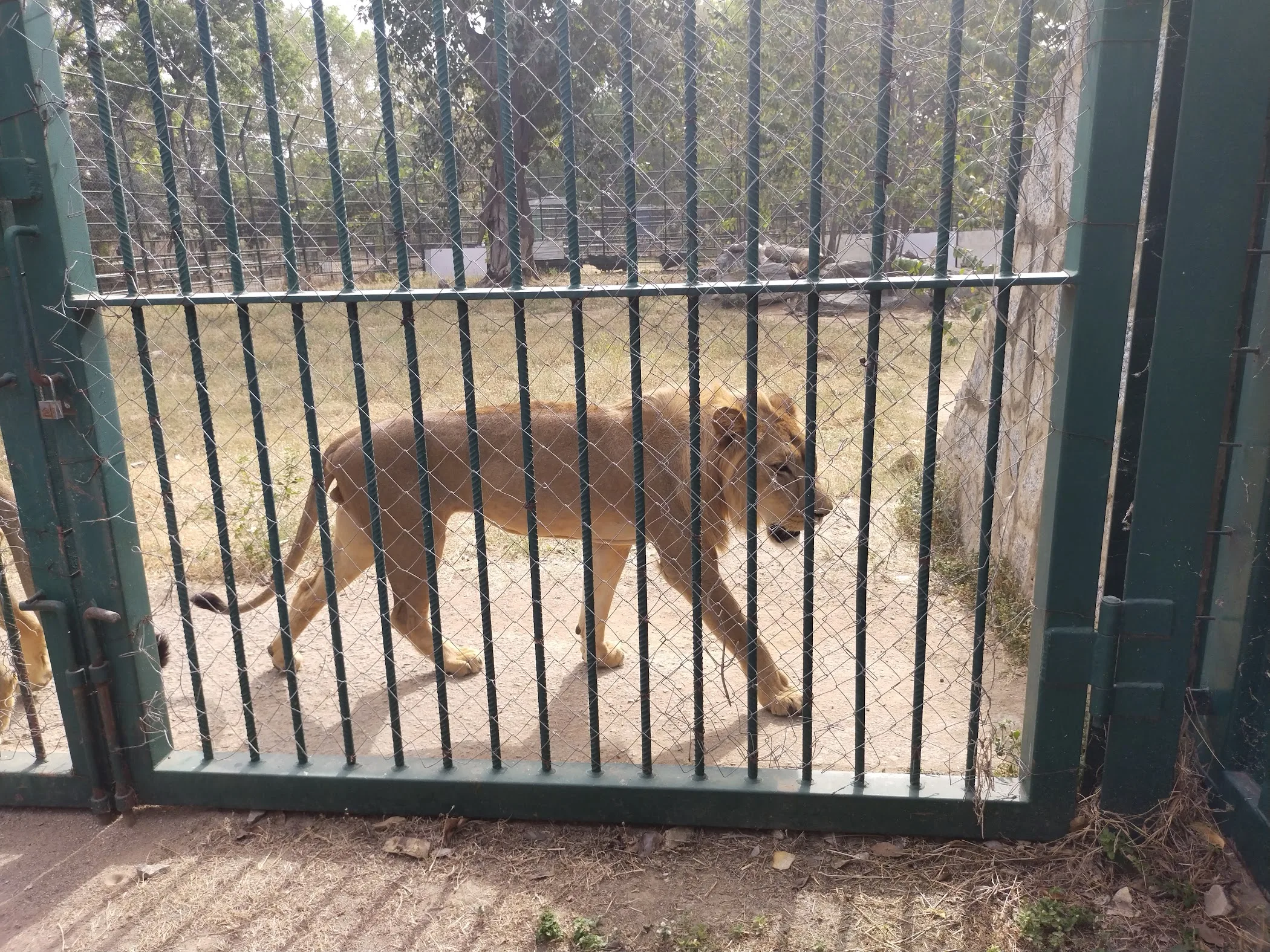 National Children’s Park and Zoo