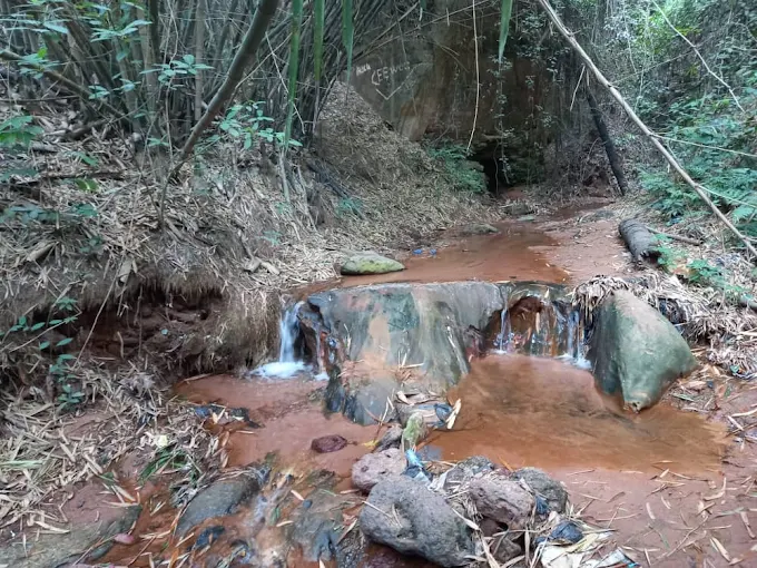 Ngwo Pine Forest and Cave