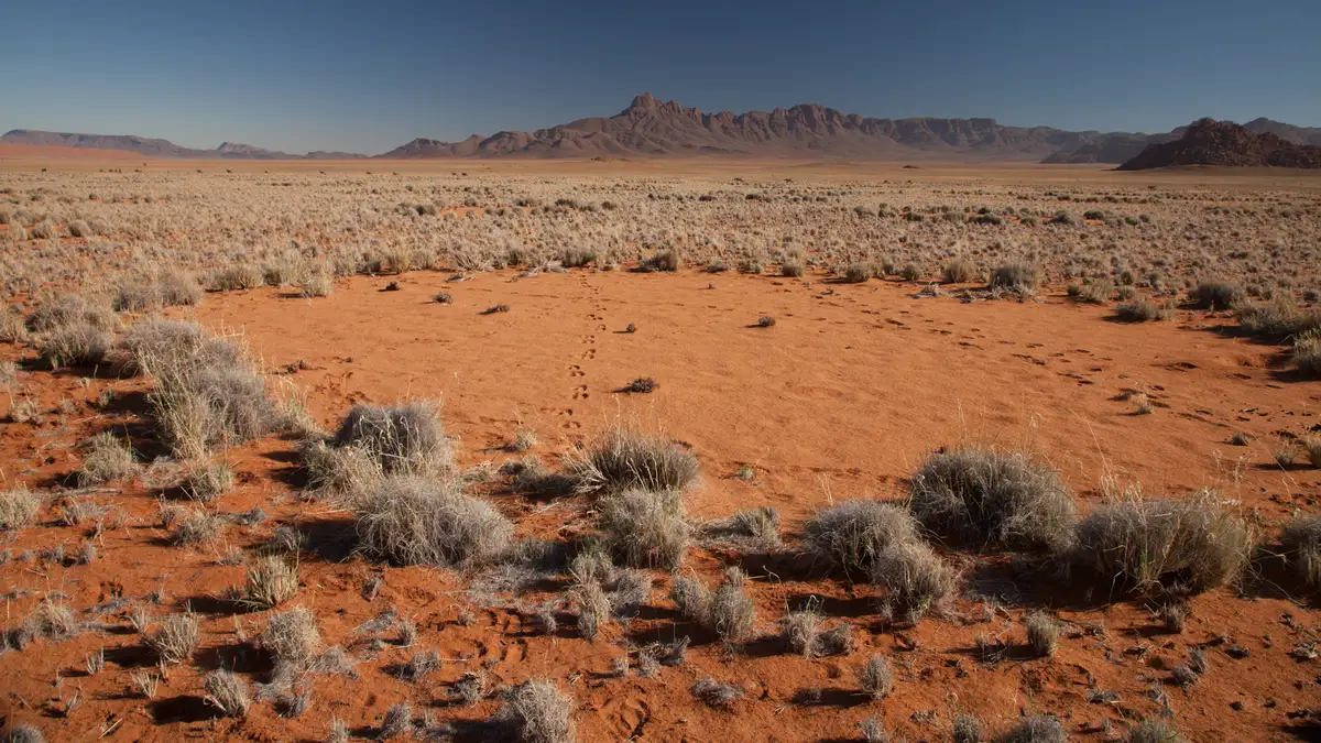 The Namib Desert Fairy Circles, Namibia