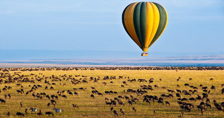 Tanzania: The Classic African Safari Experience