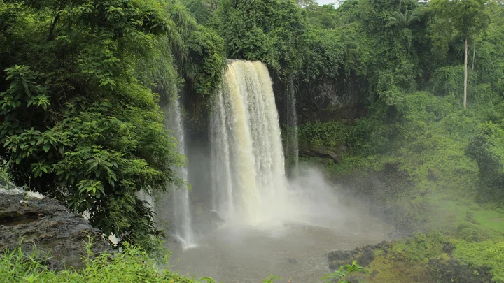 Afi Mountain Forest Waterfalls
