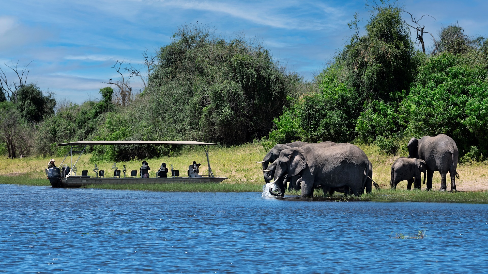 Chobe National Park, Botswana