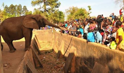 Jos Museum Zoo, Plateau State