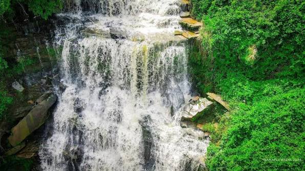 Kintampo Forest Streams and Cascades