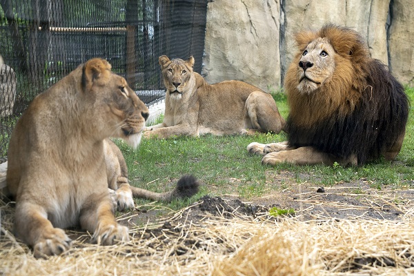 Obafemi Awolowo University Zoological Garden, Osun State