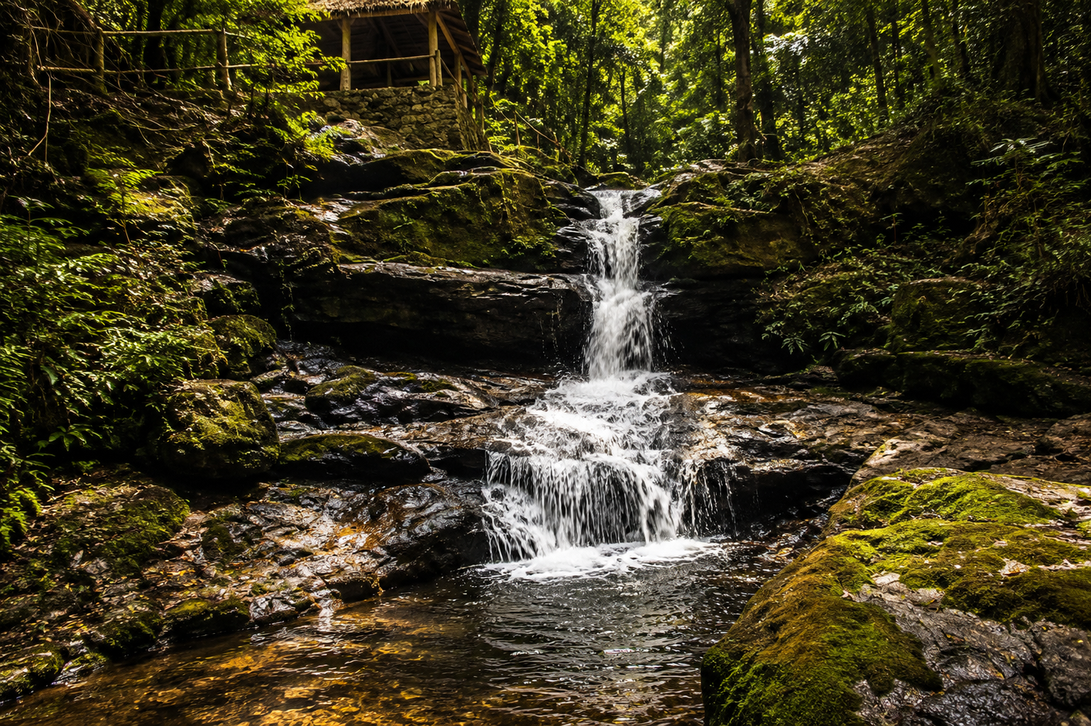 Obudu Highland Streams and Cascades