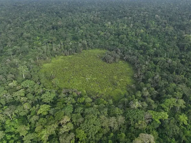 Okomu Forest Reserve