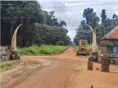 Okomu National Park