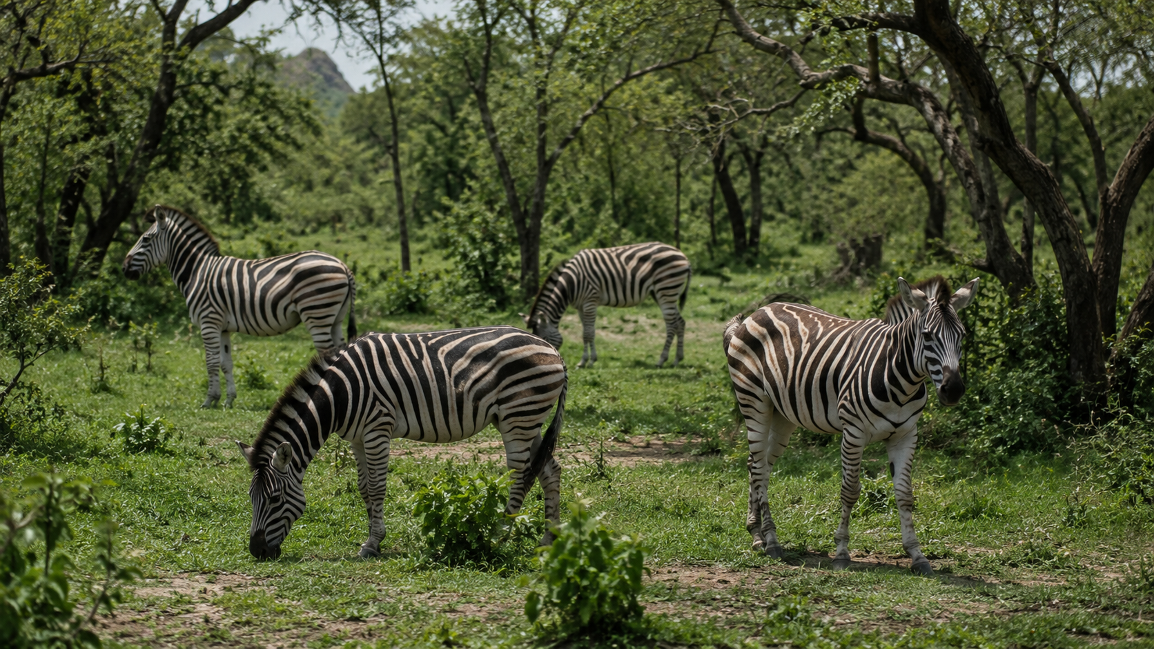Pandam Wildlife Park
