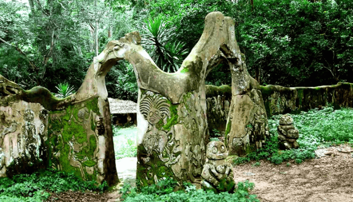 Sacred Trees of Osun-Osogbo Sacred Grove (Nigeria)