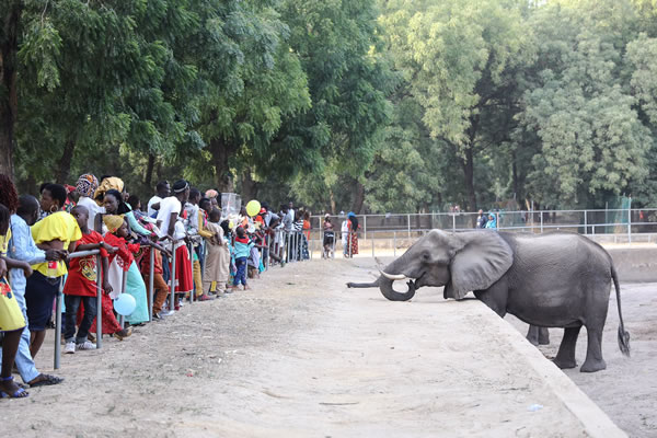 Sanda Kyarimi Park Zoo, Borno State