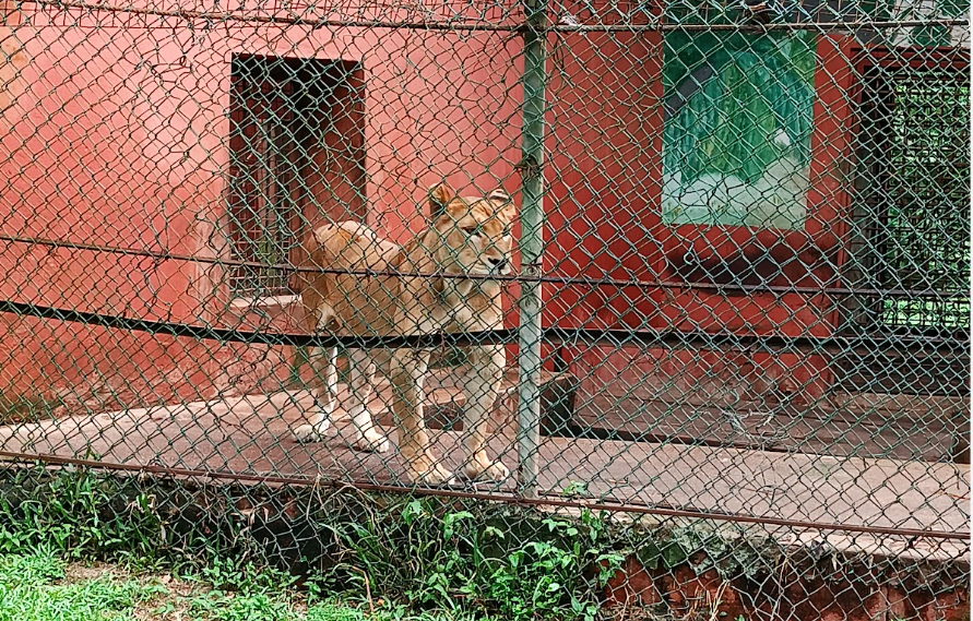 Ogba Zoo and Nature Park