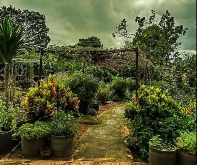 Jos Botanical Garden