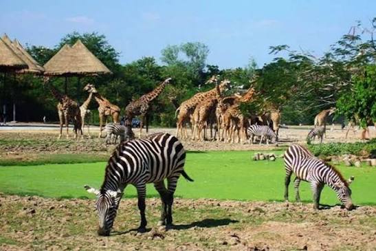 University of Ibadan Zoological Garden, Oyo State