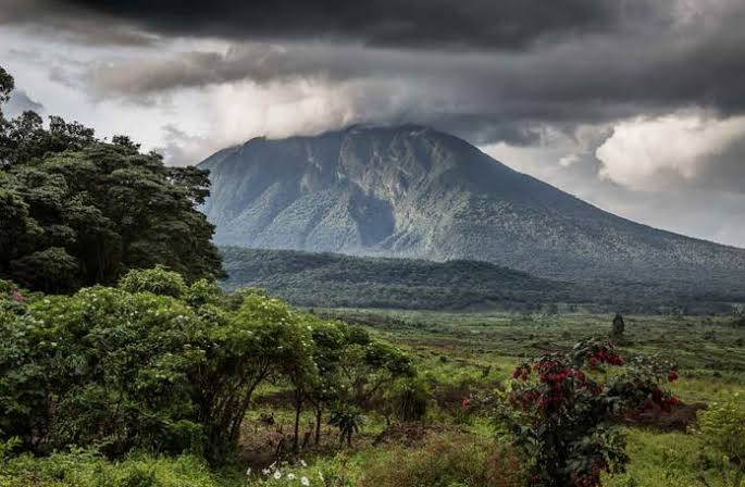 Volcanoes National Park, Rwanda