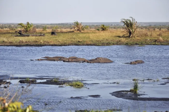 iSimangaliso Wetland Park, South Africa
