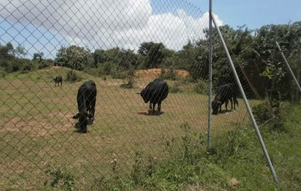 Jos Wildlife Park, Plateau State
